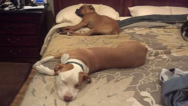 What happens when Gregg gets up