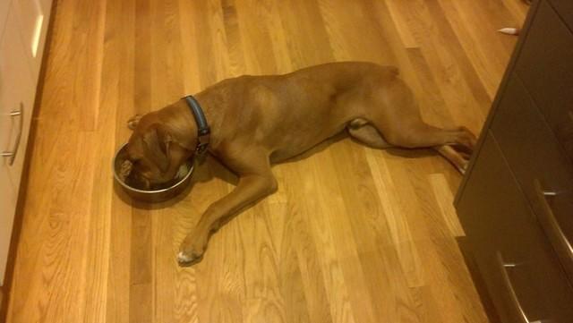 Breakfast after morning walk