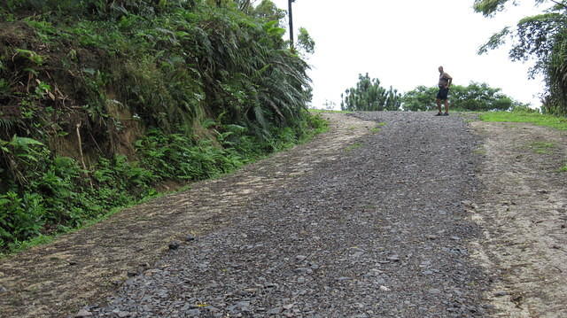 The hills were steep but the view was beautiful!