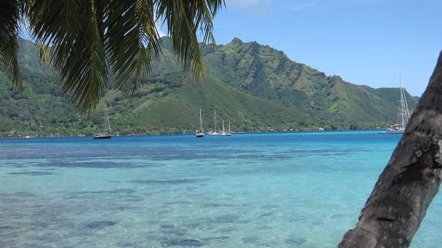 The water is unbelievably blue and clear as drinking water
