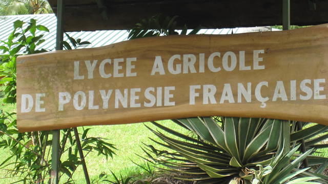 Agricultural School